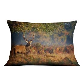 Large red deer stag in autumn Cushion (Insert: Without Insert, size: 18" X 18")