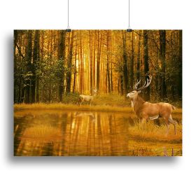Deer Bucks in summer sunset Canvas Print or Poster (Type: Poster Print, size: 12" x 8" / 30cm x 20cm (approx))