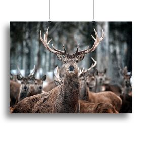 Red Deer Stag and Herd Canvas Print or Poster (Type: Standard Framed Canvas Print, size: 40" x 26" / 100cm x 65cm (approx))