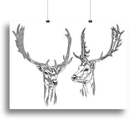 Hand drawn deer heads Canvas Print or Poster (Type: Poster Print, size: 40" x 26" / 100cm x 65cm (approx))